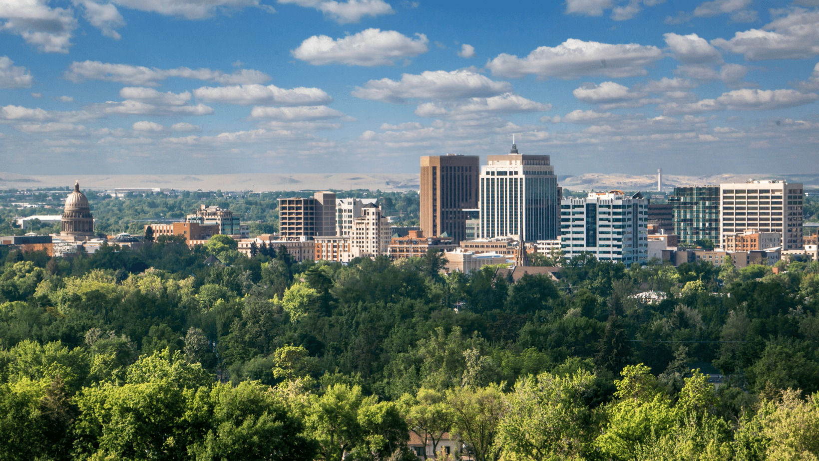 A view of the Boise city skyline from above with trees and buildings in the foreground.