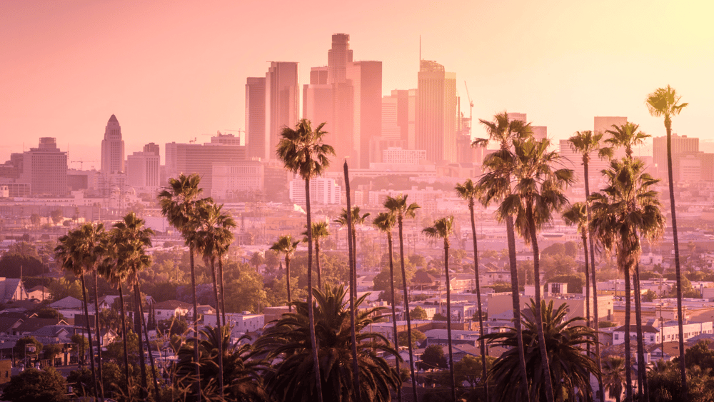 Los Angeles skyline at sunset with palm trees represents Ascend Adwerks' digital marketing services offered to LA local businesses.