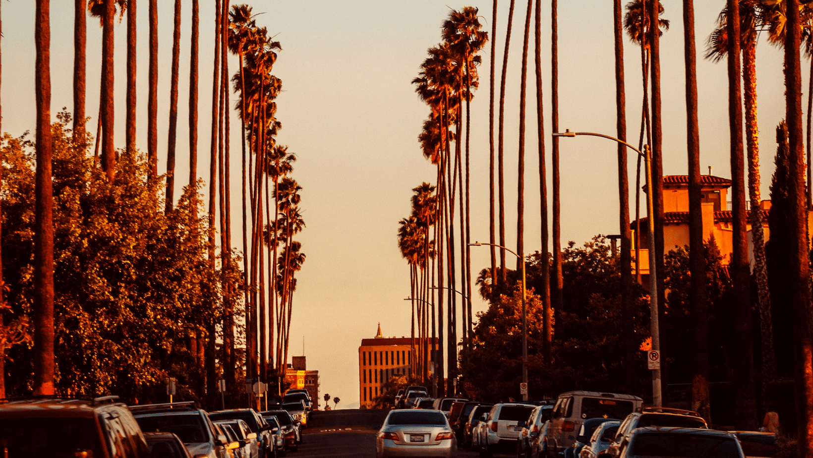 Palm trees line the street at sunset in los angeles, california.
