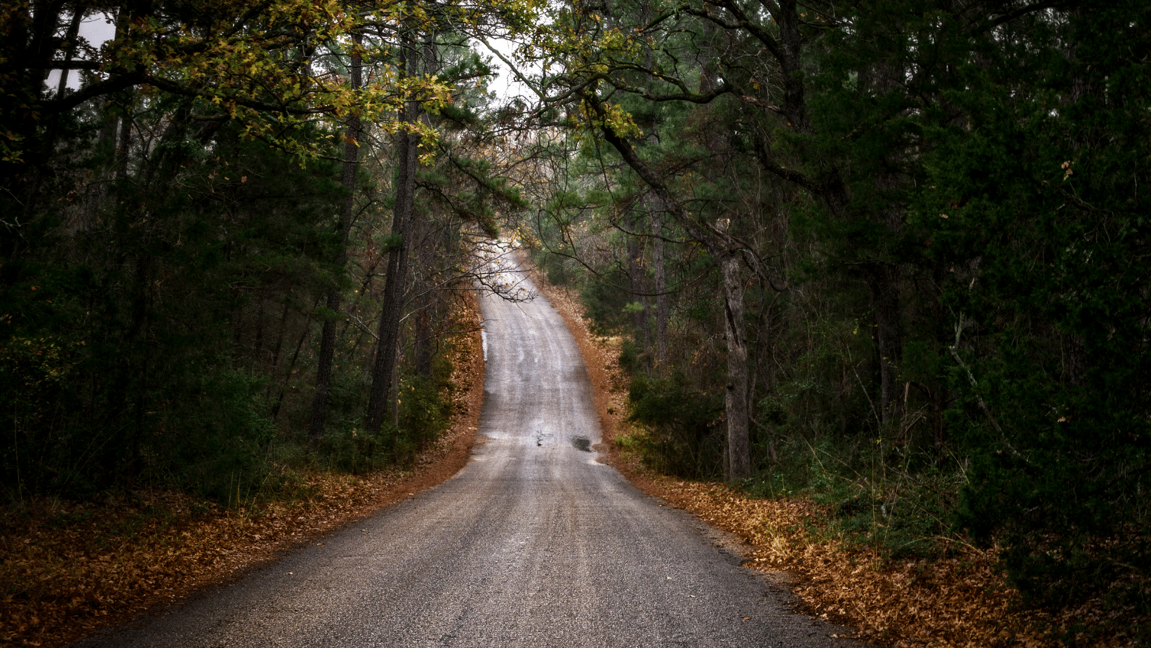 an empty road in the middle of a wooded area
